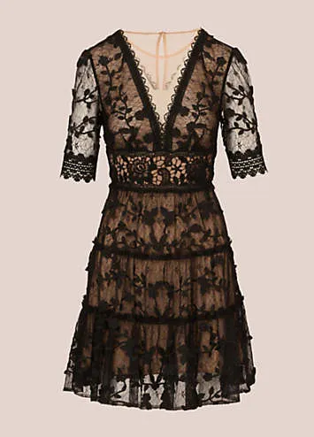 Adrianna Papell Lace Embroidery Dress | Kaleidoscope