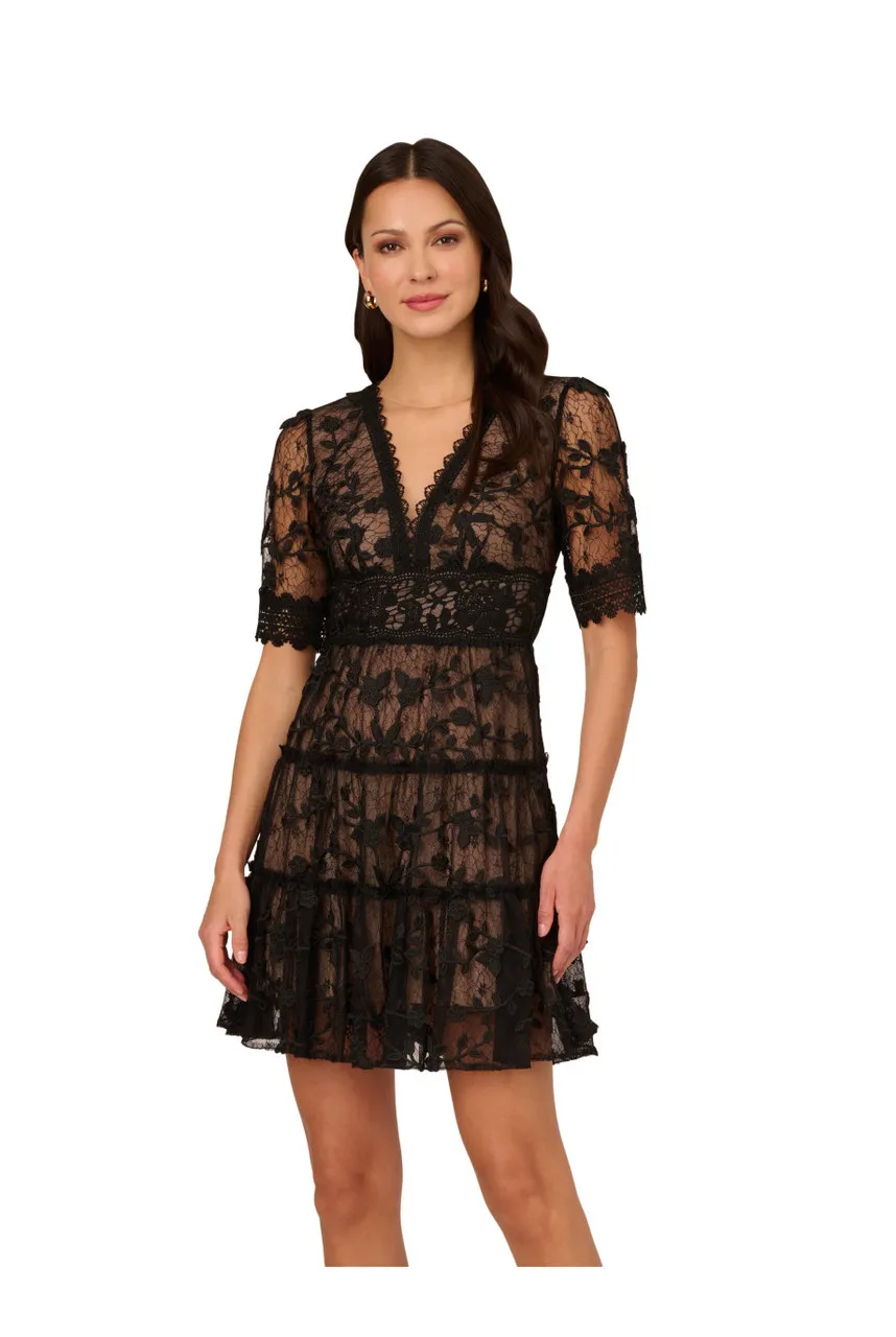 ADRIANNA PAPELL Lace embroidery dress 
                         
                     
                