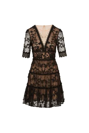 ADRIANNA PAPELL Lace embroidery dress 
                         
                     
                