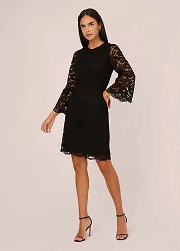 Adrianna Papell Lace Short Dress | Kaleidoscope