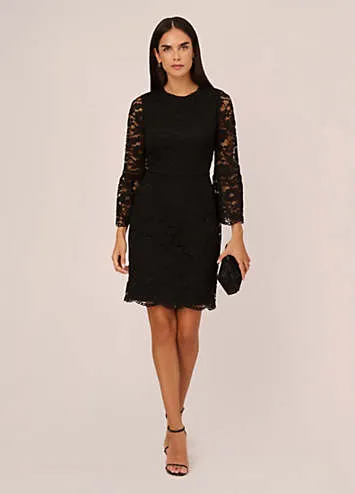 Adrianna Papell Lace Short Dress | Kaleidoscope