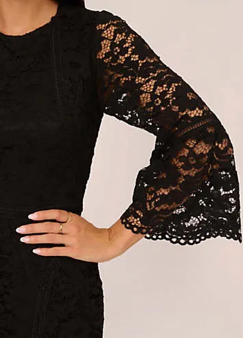 Adrianna Papell Lace Short Dress | Kaleidoscope