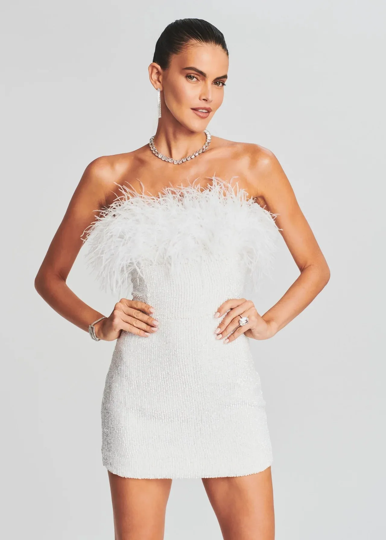 Torin Sequin Feather Dress